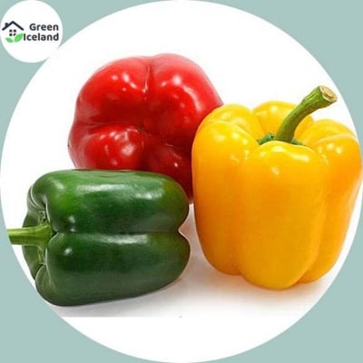 Picture of 10 pieces of natural mixed color capsicum seeds