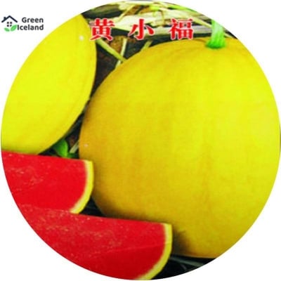 Picture of 10 Piece Organic Delicious Small Yellow Watermelon Bonsai Seeds