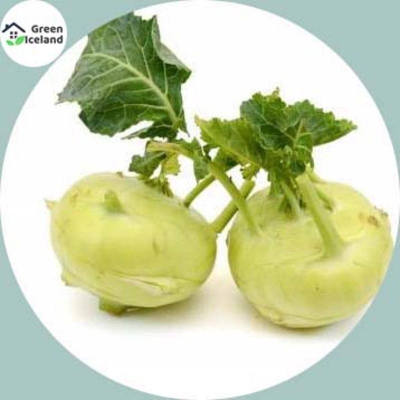 Picture of Kohlrabi vegetable seed-30 + pice seeds