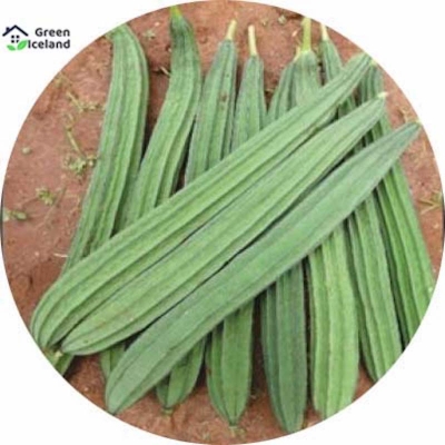 Picture of Natural jinga/shrimp seeds (shinga seeds) - 10 pistas seeds