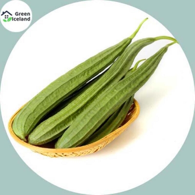Picture of Natural shrimp/shrimp seed-10 pes seeds