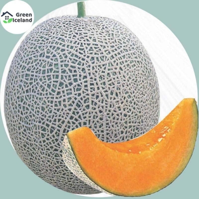 Picture of Sand shi textured sweet bonsai seed-10 pce seeds