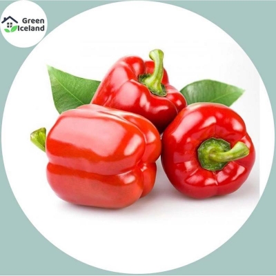 Picture of 20 pcs hybrid f1 red capsicum seeds (red capsicum seed)