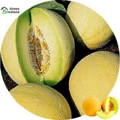 Picture of All seasonal dwarf mini sweet watermelons seed-5 pice seeds