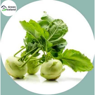 Picture of Olkopi/kohlrabi vegetable seed-300 + pice seeds