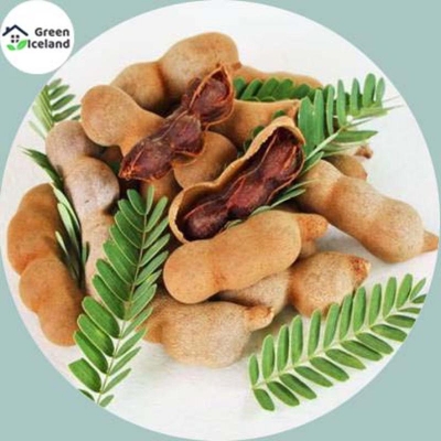 Picture of 10 Piece Global Suite Fruit Fruit Bonsai Seed (Sweet Butter Seeds) - 10 Piece Seeds