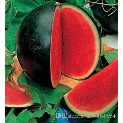 Picture of Sugar Baby Watermelon Citralus Lantus Lantus Fruit Seed Garden Decoration Plant-10 Peace Seeds