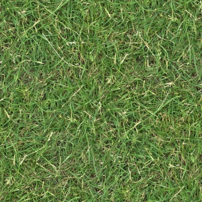 Picture of Sport and field grass seed-200 + pice