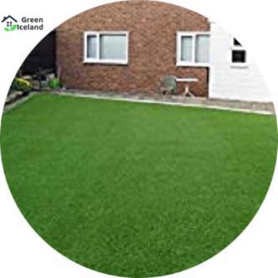 Picture of All season's lawn grass seed-200 + piss seeds