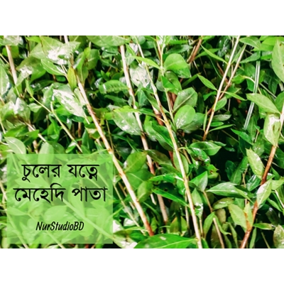 Picture of Mehendi bonsai seed-seed-50 pc seeds