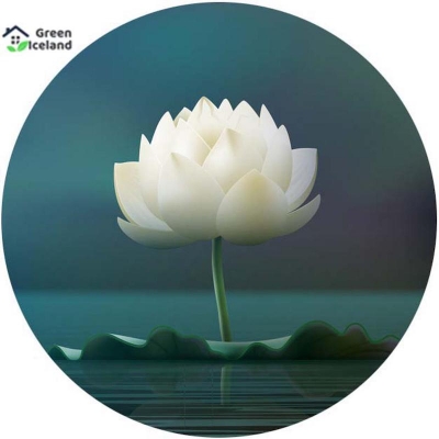 Picture of 5 PCS Global White Lotus Flower Seeds (White Padmaful Seed)