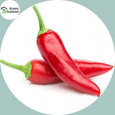 Picture of Red spicy pepper seeds of all season (red pepper seed) - 10 pce seeds