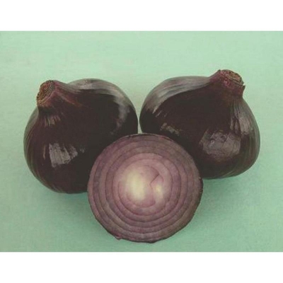 Picture of All seasoned red onion seed -100 pice seeds