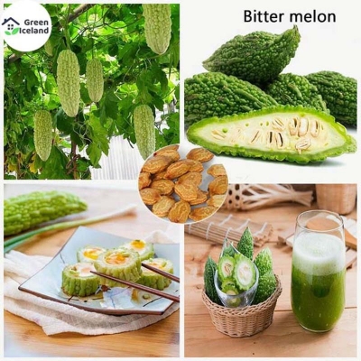 Picture of Balsam/Better Seed (Korla Seed) - 20 Piece Seeds