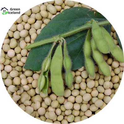 Picture of The seeds of natural soybean plant-20 pice seeds