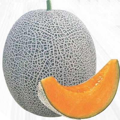 Picture of Sand shi textured organic Vegetable Vegetable Bonsai Sweet Bonsai-5 Piece Seeds