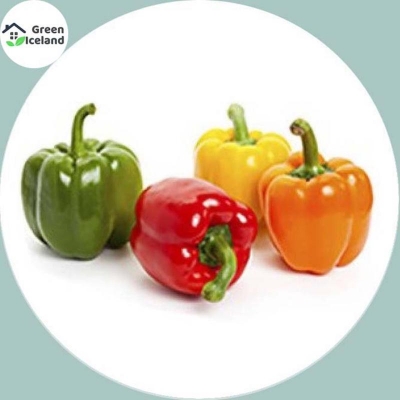 Picture of 20 Piece Global Different Color capsicum seeds (capsicum seeds)
