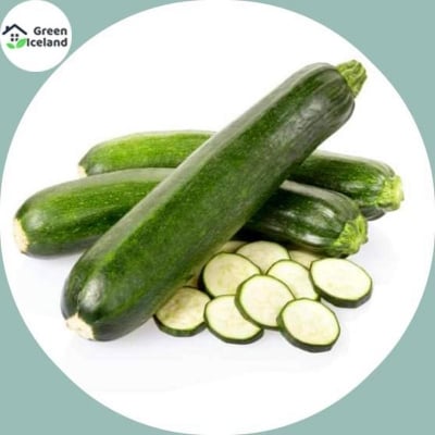 Picture of Rare Garden Juchini Squash Seeds (Squasash Seeds) - 10 Piece Seeds
