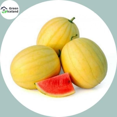 Picture of 10 pieces of small yellow watermelon bonsai seeds