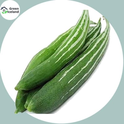 Picture of All season chichinga/cushion seeds (shinga) -10 pc seeds