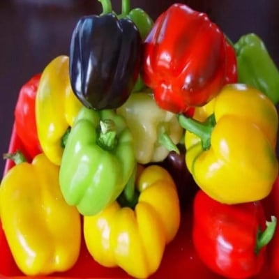 Picture of Mixed color capsicum seed-10 pice seeds