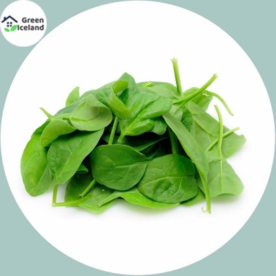 Picture of Natural couch seed -100 pice seeds