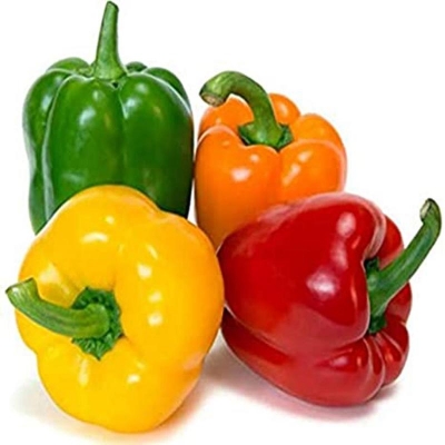 Picture of Multi Color Capsicum Seeds (Capsicum Seed) - 10 Peaces