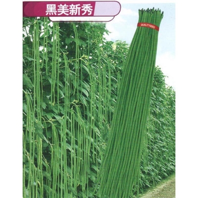 Picture of String beans (borboti) seed-40 pice