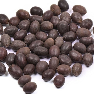 Picture of Foreign Padma Flower Seed-5 Peace Seeds
