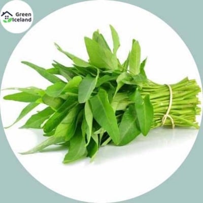 Picture of 20 Piece Seeds of All Seasons Kang Kong Water Seeds (Palmy Vegetable Seeds) - 20 Piece Seeds
