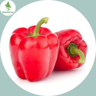 Picture of Red capsicum seed-20 pice seeds