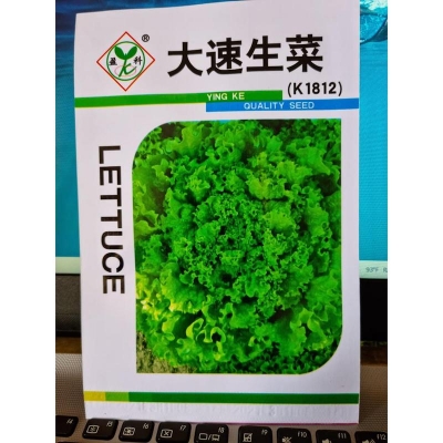 Picture of Lettuce seeds 2000 grains for all seasons, rapidly growing packets (China Global Seeds)