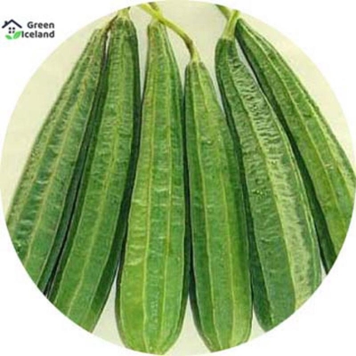 Picture of 20 Peace Global Jinga/Shrimp Seeds