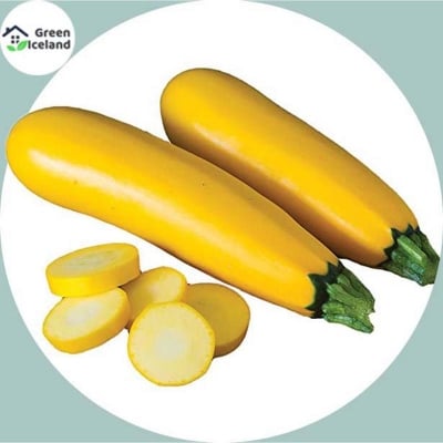 Picture of 5 pice gold squash seeds hybrid-5 pc seeds