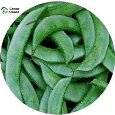 Picture of 10 Piece Bin Seeds (SIM Seeds)