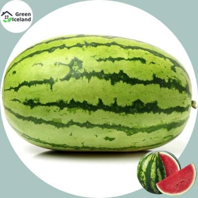 Picture of Natural watermelon bonsai seeds (watermelon seeds) - 15 pieces seeds