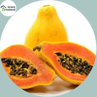 Picture of The yellow color of all season is the seed-seed-5 pice seed