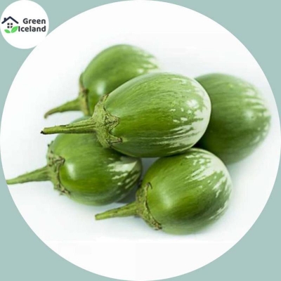 Picture of 20 pieces of global eggplant seeds