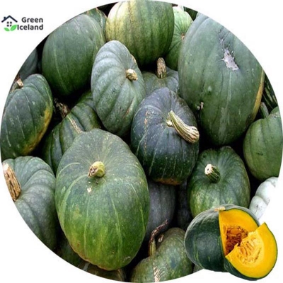 Picture of 10+ Pcsee  Global Sweet Pumpkin Seeds