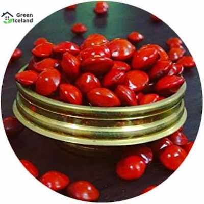 Picture of Blood Chandan Tree Seed-5 Piece Seeds (imported global seeds)