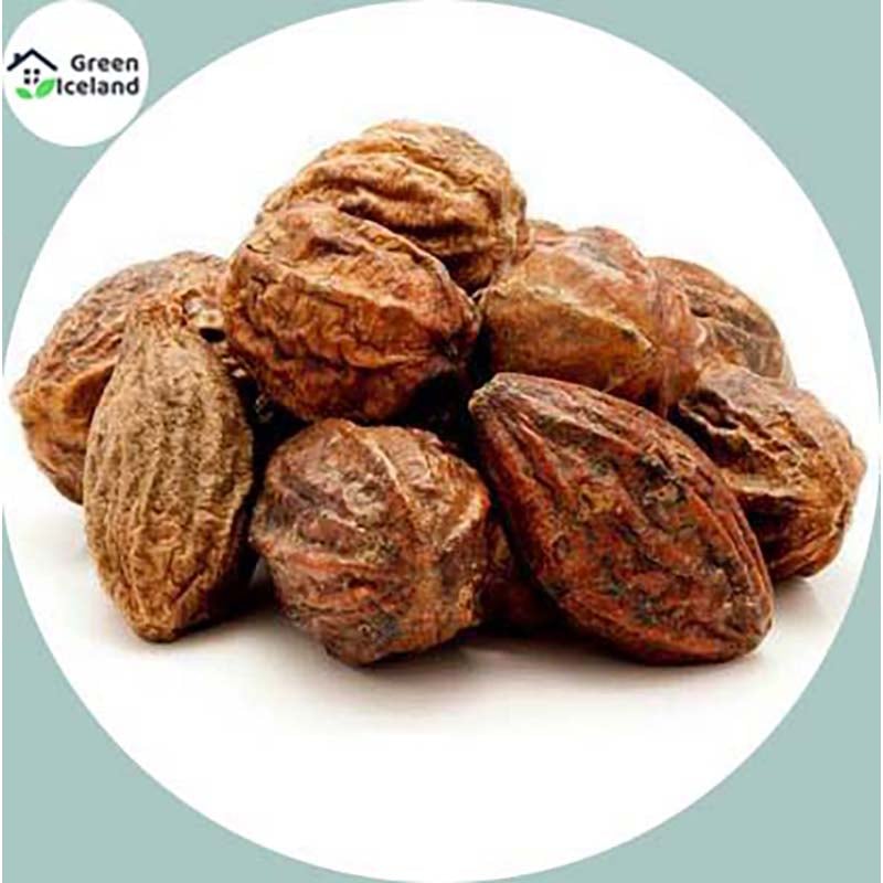 Picture of Haritoki seeds of all season -10 pes seeds