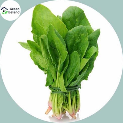 Picture of Couch/couch seed-200 pce seeds (imported global seeds)