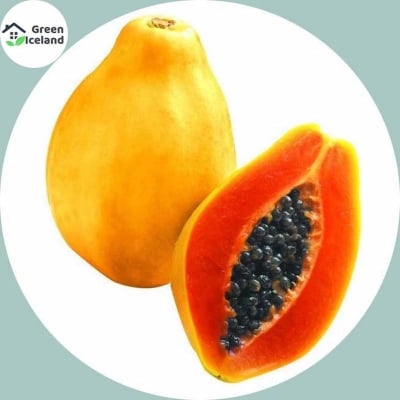 Picture of Yellow colored papaya seeds of all seasons (yellow abdomen seeds)- 5 pc seeds