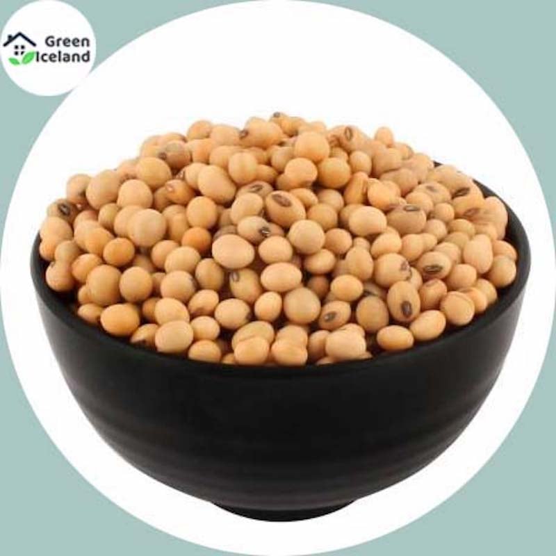 Picture of The seeds of soybean trees of all seasons-30 pice seeds