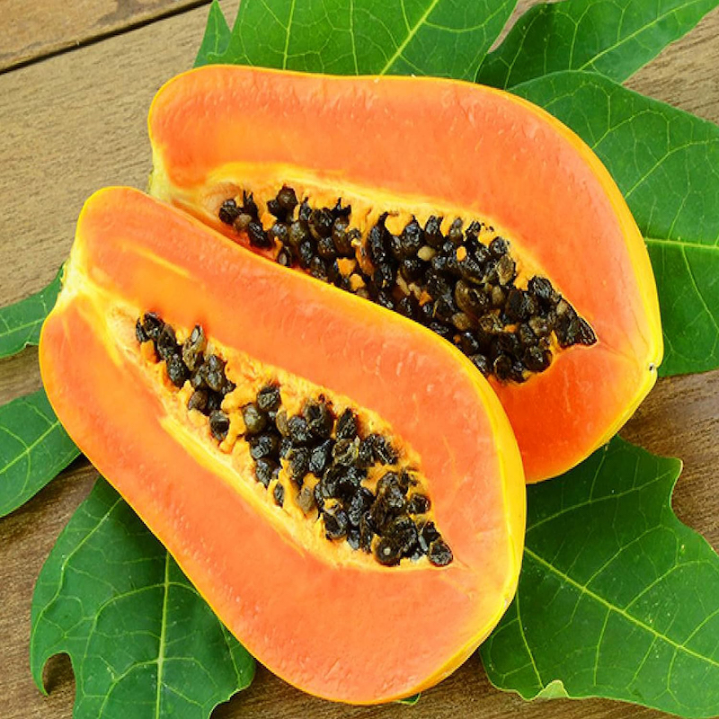 Picture of 10 Piece Imported Global Papa Seed-10 Piece Seeds