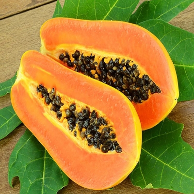 Picture of 10 Piece Imported Global Papa Seed-10 Piece Seeds