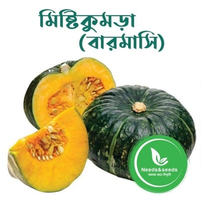 Picture of Sweet pumkin ,mist kumra seeds - 10 pse Intack pack