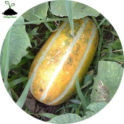 Picture of (Bangi) All season-20+ Pse Intact Packet