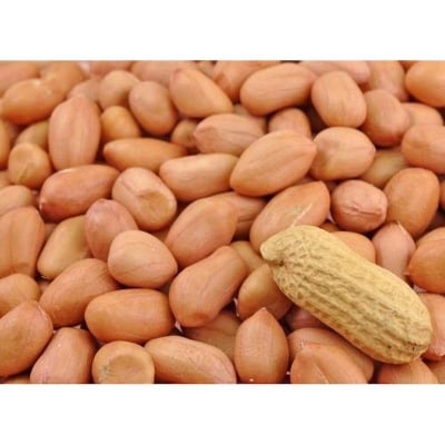 Picture of Peanut Biz Indian- 30 Pcs Seeds