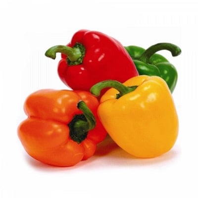 Picture of 10 pcs Seed Intac pack Capsicum - Mix Color